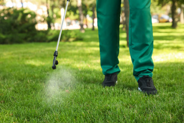 Best Rat Extermination Near Me  in Bull Run Mountain Estates, VA