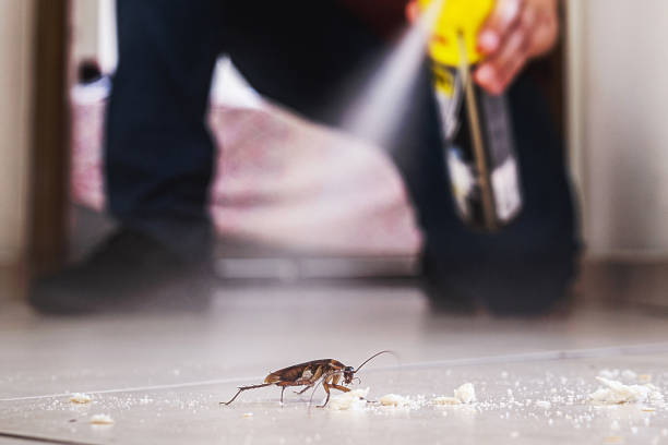 Best Emergency Pest Control  in Bull Run Mountain Estates, VA